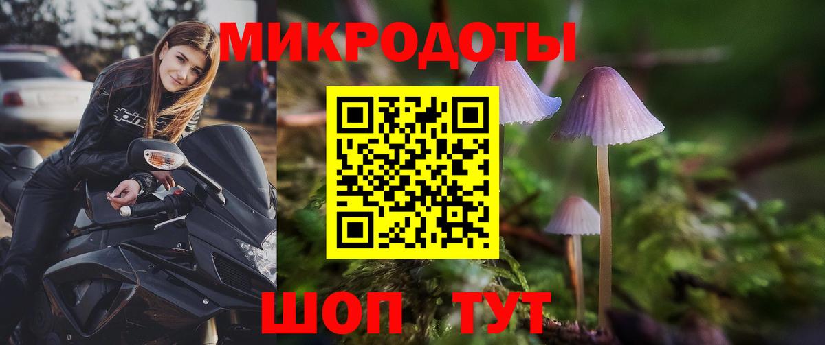 Богданович  Псилоцибиновые грибы Psilocybine cubensis  Вход с VPN 